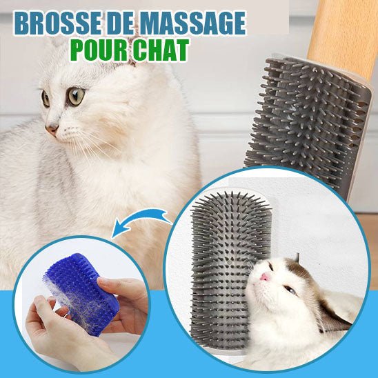 Brosse pour chat | BrushMe™ - Des Idées Pour Chat