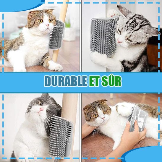 Brosse pour chat | BrushMe™ - Des Idées Pour Chat