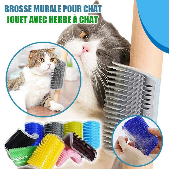 Brosse pour chat | BrushMe™ - Des Idées Pour Chat