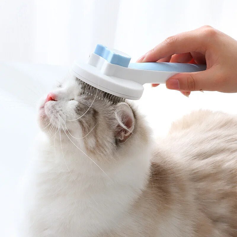 Brosse pour chat | KittyBrush™ - Des Idées Pour Chat