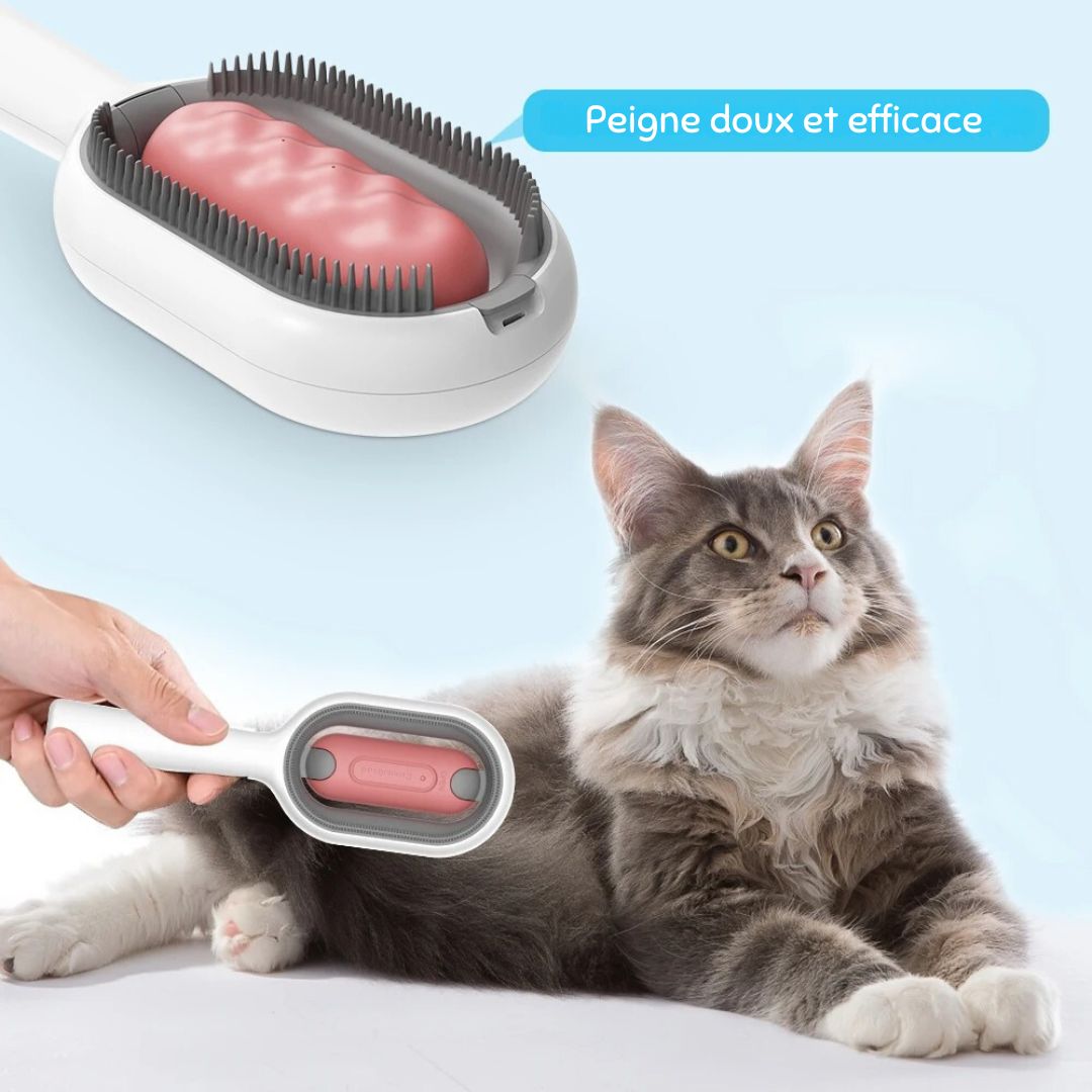 Brosse pour chat 😺 | MiniBrush™ - Des Idées Pour Chat