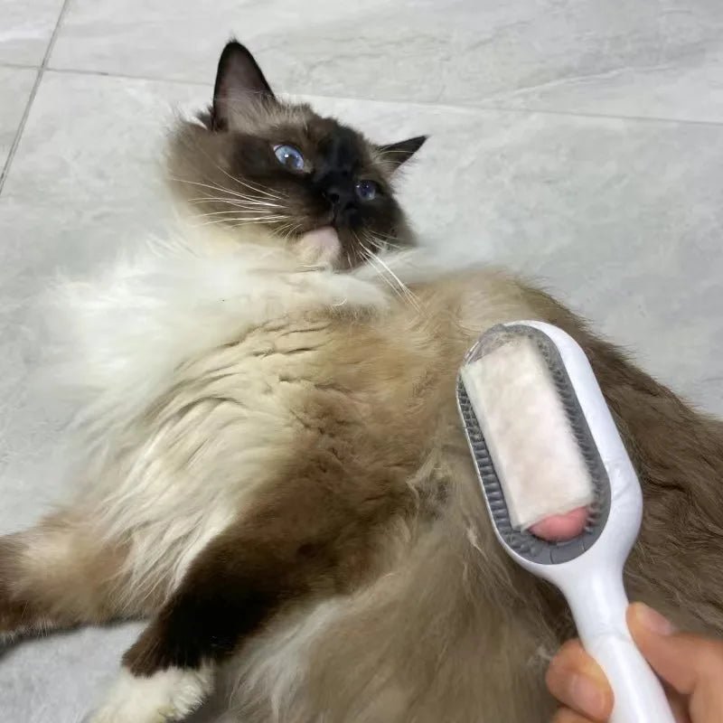 Brosse pour chat 😺 | MiniBrush™ - Des Idées Pour Chat