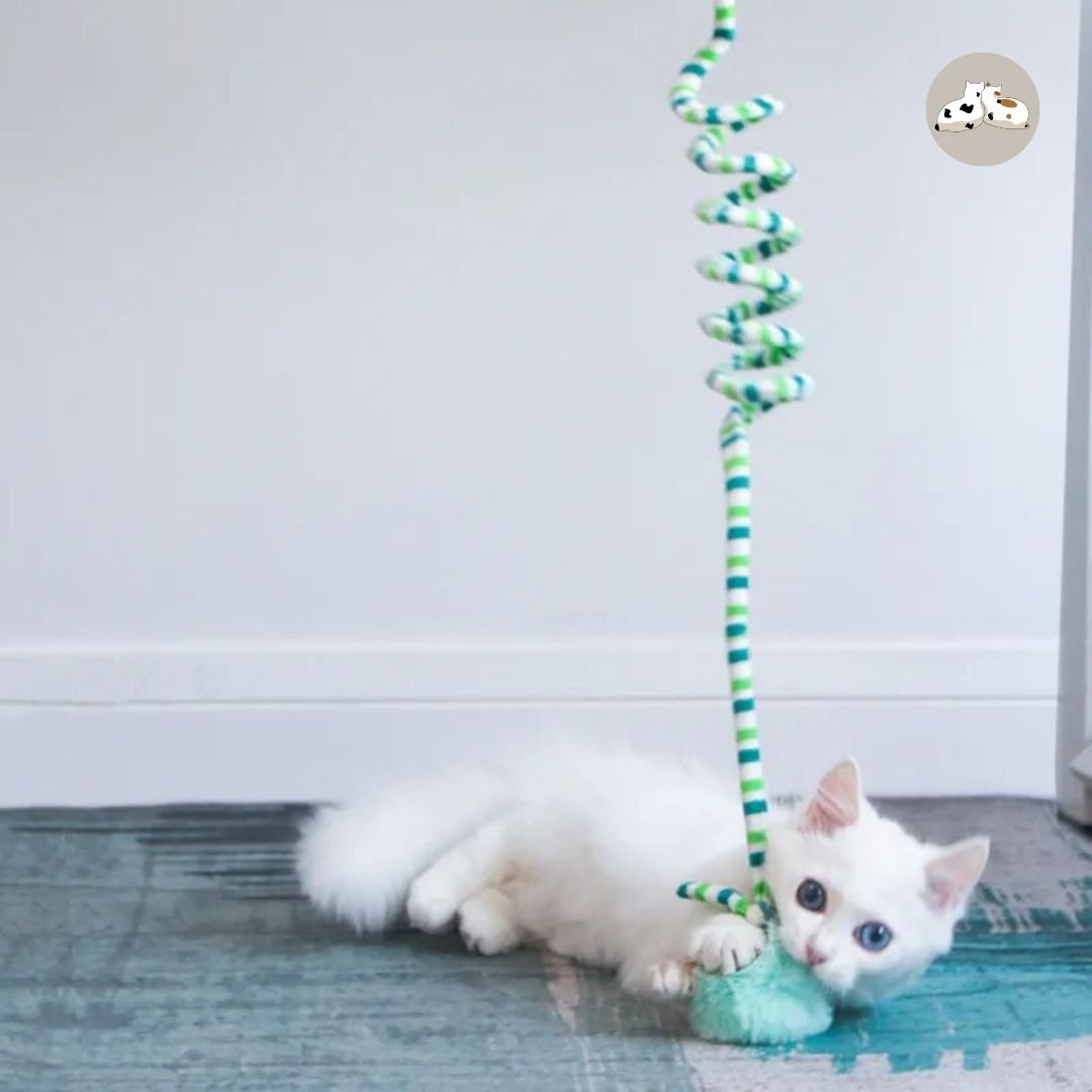 Jouet interactif pour chat à suspendre | FunnyTwist™ - Des Idées Pour Chat