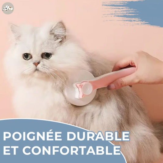 Brosse auto nettoyante pour chat | KittyBrush™ - Des Idées Pour Chat