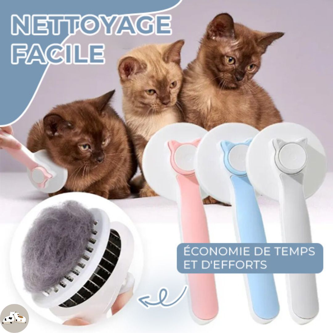 Brosse auto nettoyante pour chat | KittyBrush™ - Des Idées Pour Chat