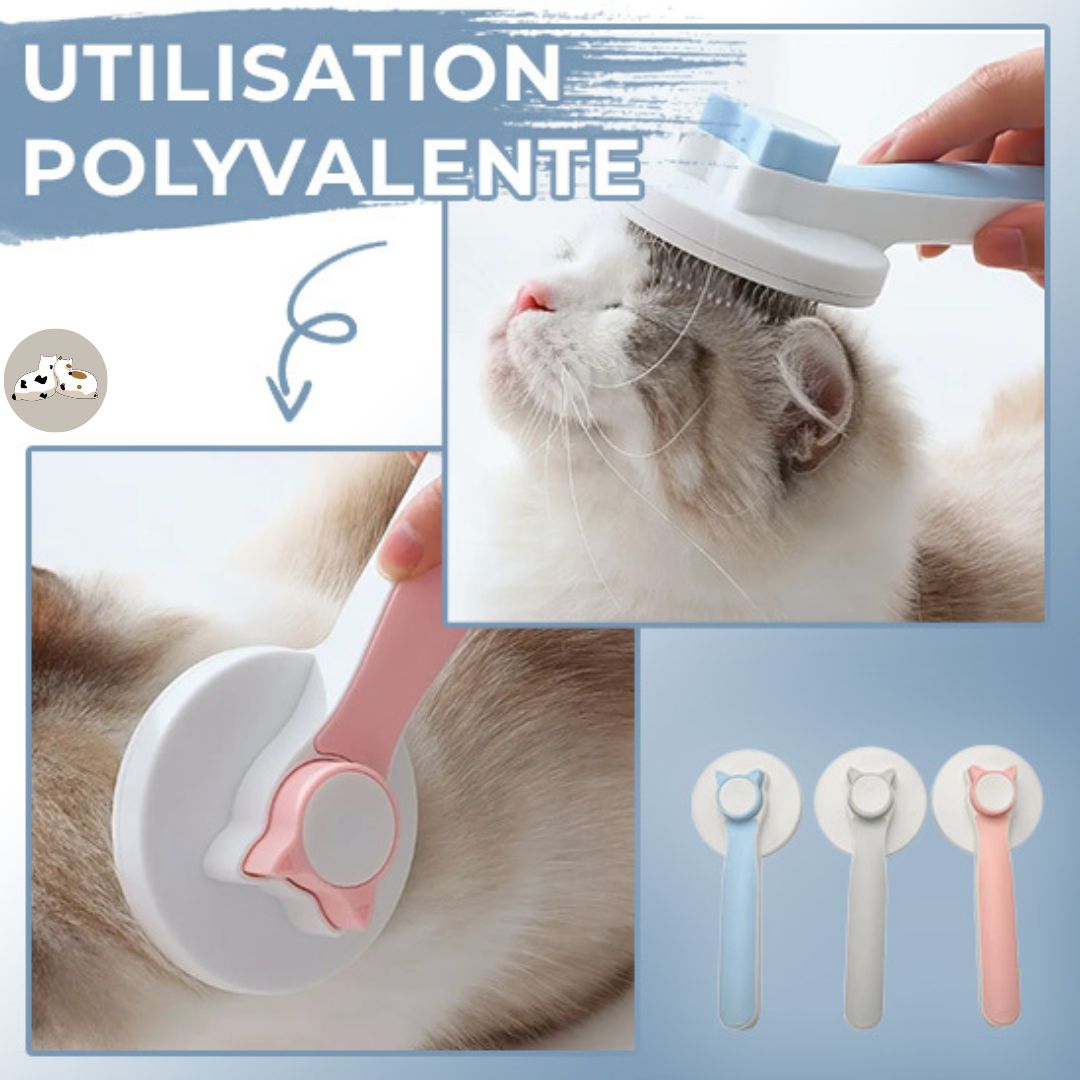 Brosse auto nettoyante pour chat | KittyBrush™ - Des Idées Pour Chat