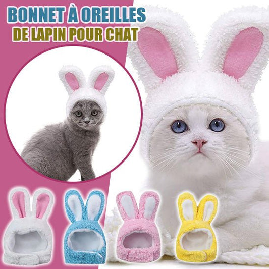 RabbitHat™ - Accessoire de déguisement pour chat - Des Idées Pour Chat