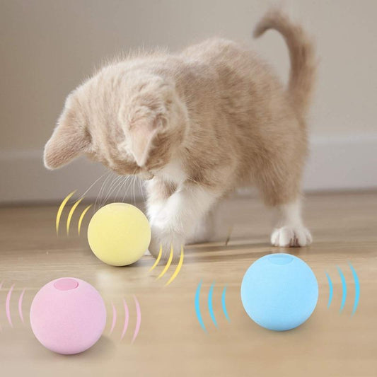 SmartBall™ - Balle intelligente d'apprentissage pour chat - Des Idées Pour Chat